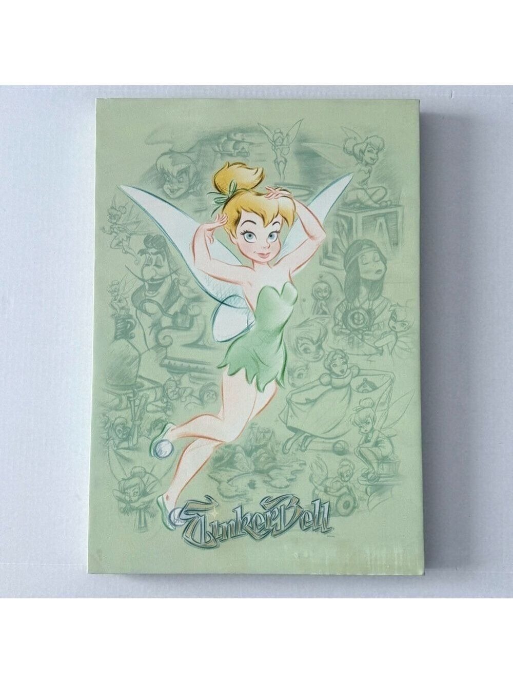 Disney Tinkerbell Fairies Disney Wall Art Canvas w/Peter Pan Characters Sketched